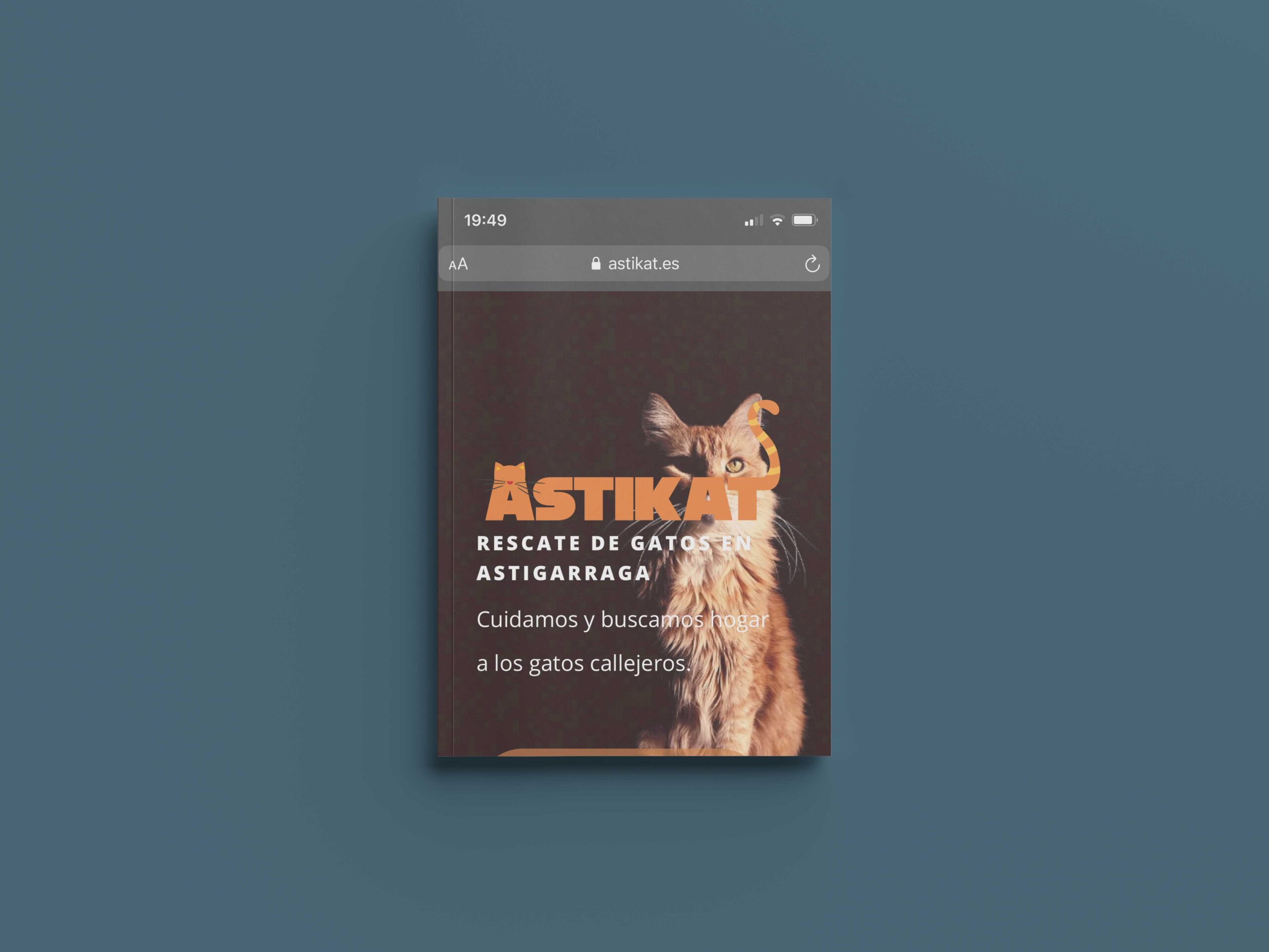 proyecto-portfolio-astikat.es-diseno-web-seik-portada-revista-scaled